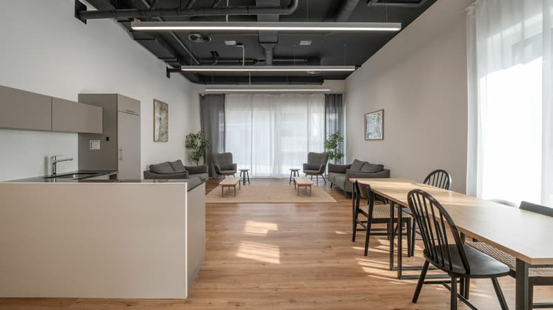 Möbliertes BASIC Apartment - 24 m2 (19)