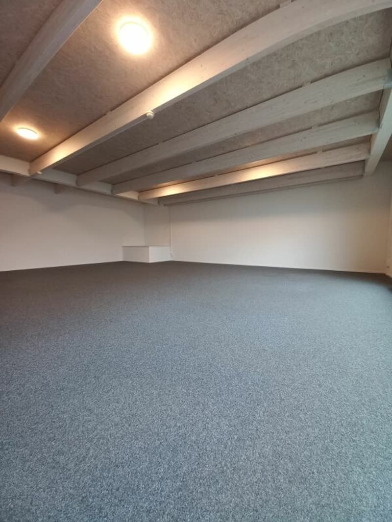 Attraktive Bürofläche zu vermieten (7)