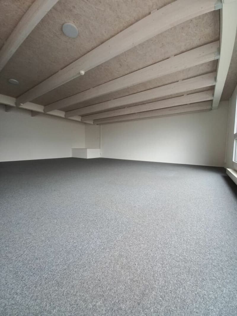 Attraktive Bürofläche zu vermieten (6)
