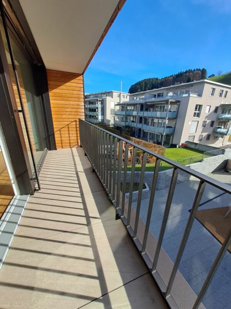 Helle 1.5-Zimmer-Appartements mit Balkon (2)