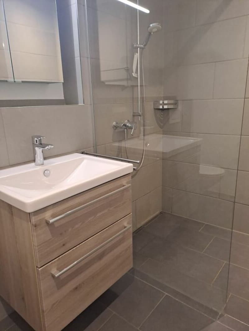 Attraktive 4.5 Zimmerwohnung mit grossem Balkon (4)