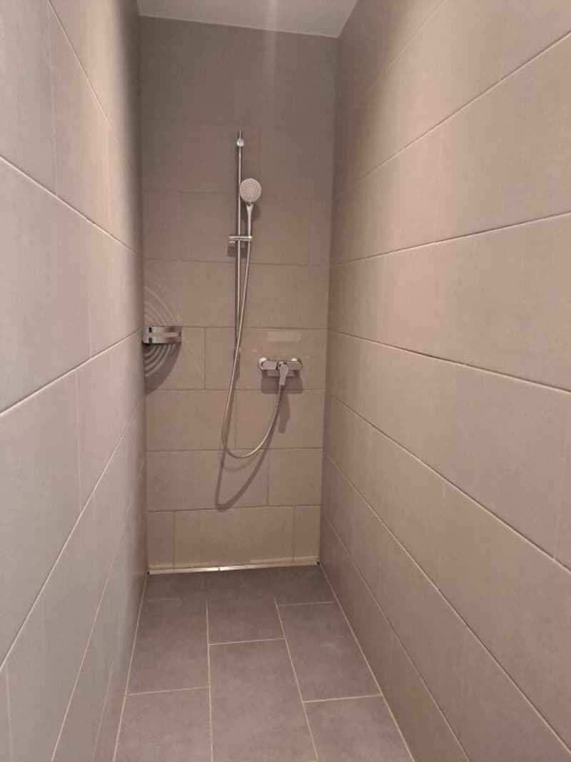 Attraktive 4.5 Zimmerwohnung mit grossem Balkon (5)