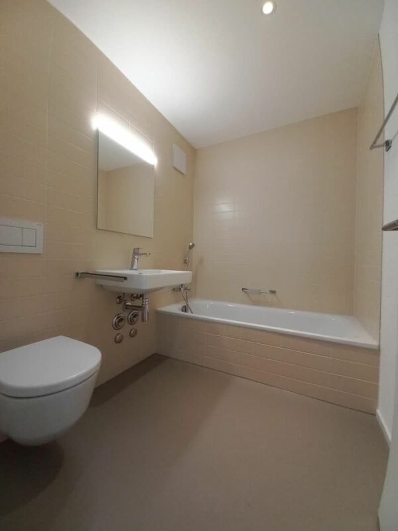 Grosszügige 3.5 Zimmerwohnung (5)
