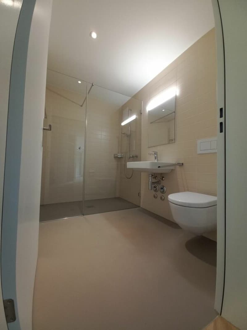 Grosszügige 3.5 Zimmerwohnung (6)