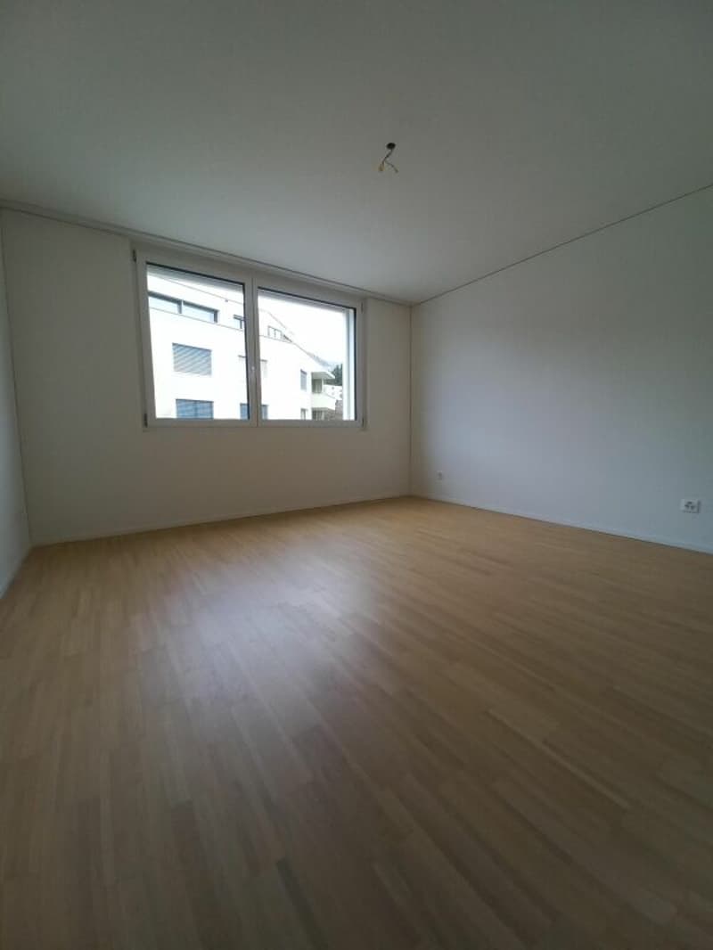 Grosszügige 3.5 Zimmerwohnung (4)