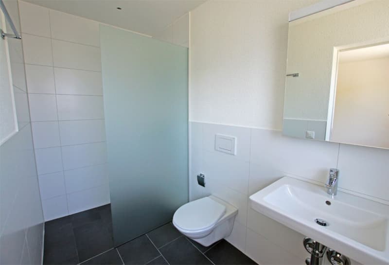 Helle 4.5 Zimmer-Wohnung (5)