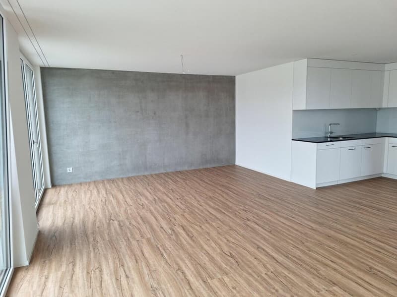 Grosszügige 2.5 Attikawohnung mit 79m2 (2)