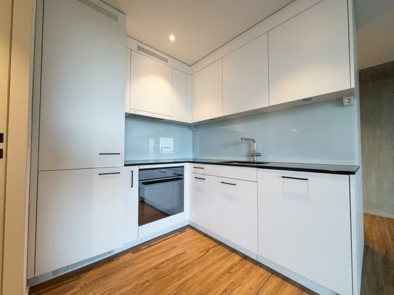 Attraktive 1.5 Attikawohnung mit Loggia (3)