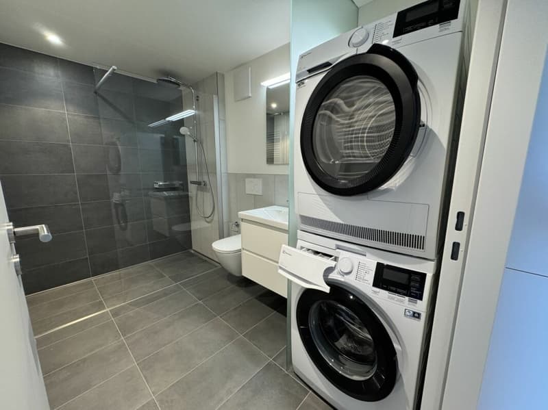 Attraktive 1.5 Attikawohnung mit Loggia (4)