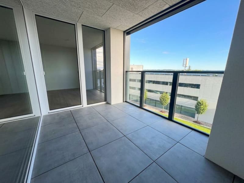 Attraktive 1.5 Attikawohnung mit Loggia (6)