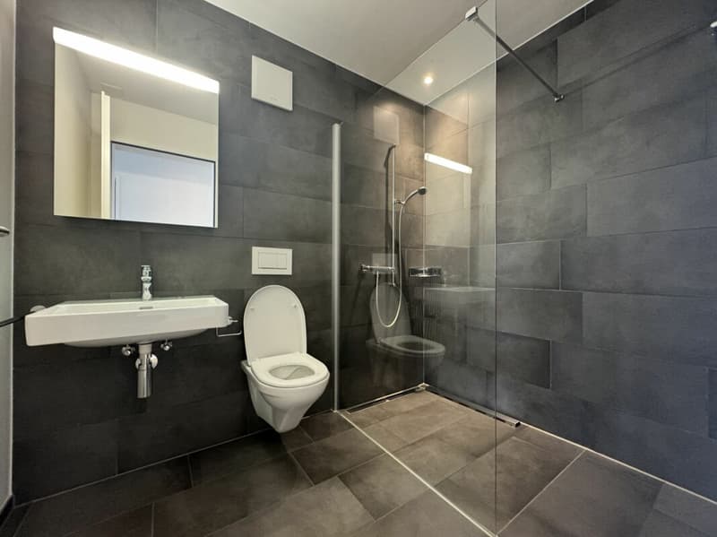 *gut gelegene 3.5 Zimmerwohnung zu vermieten* (12)