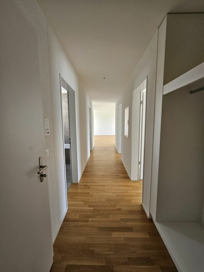 grosszügige 3.5 Zimmer-Attikawohnung (9)