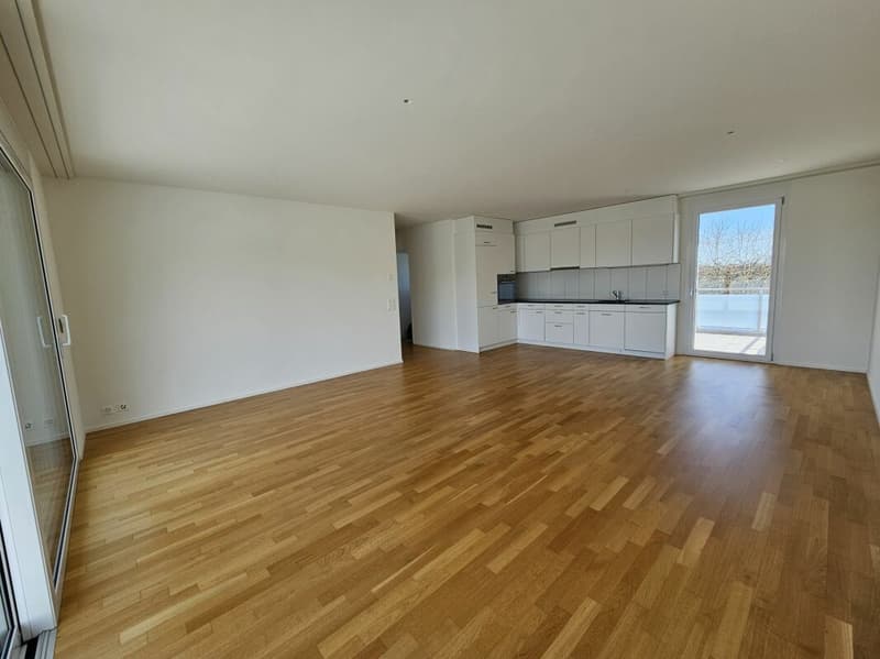 grosszügige 3.5 Zimmer-Attikawohnung (3)