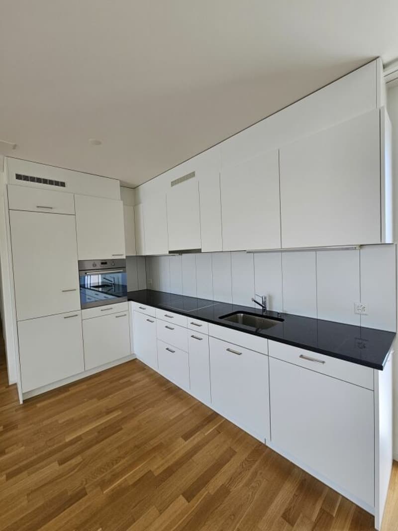 grosszügige 3.5 Zimmer-Attikawohnung (4)