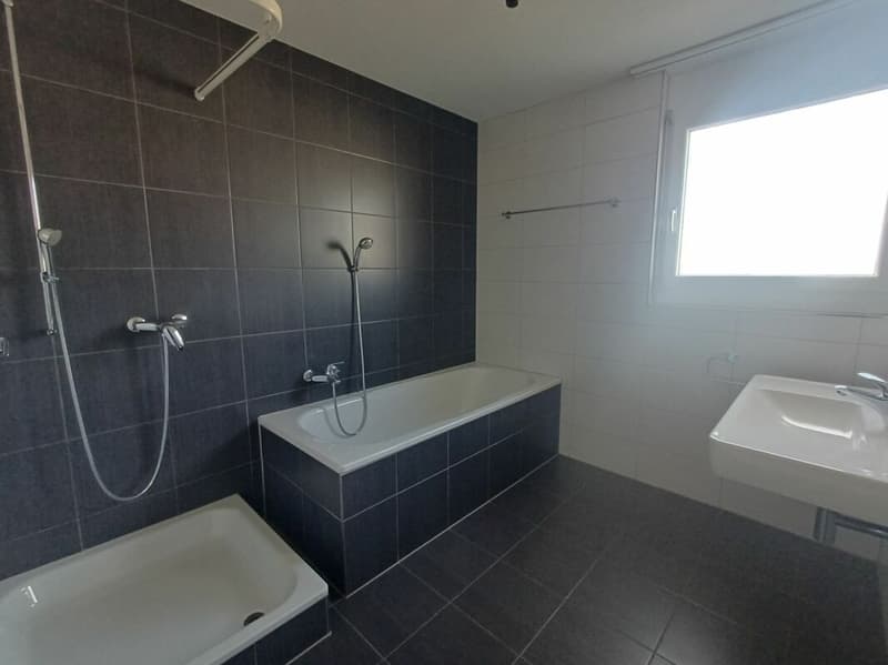 Attraktive 4.5 Zimmer-Wohnung im Erdgeschoss (6)