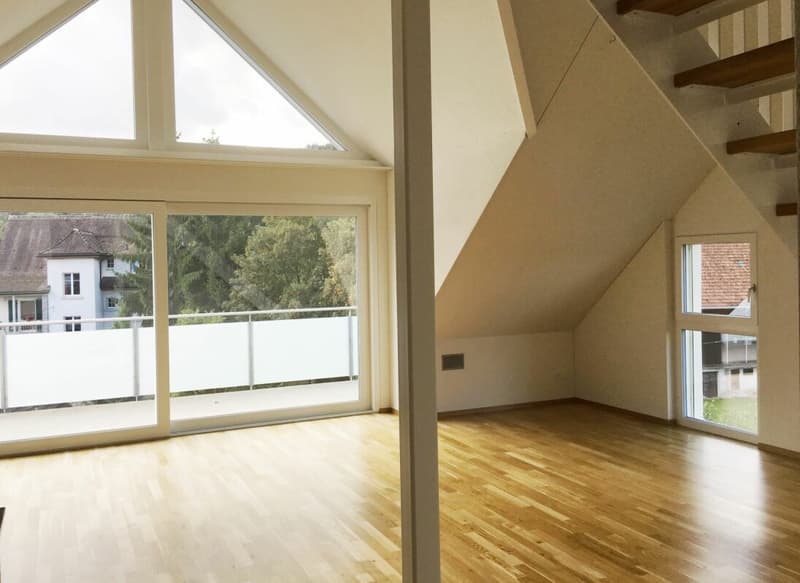 Traumhafte 4.5 Zimmer-Maisonette-Wohnung (4)