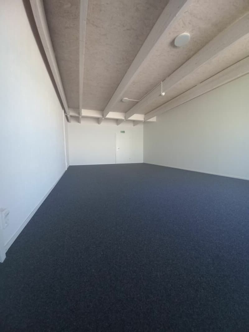 Gewerbefläche für tolle Projekte zu vermieten (2)