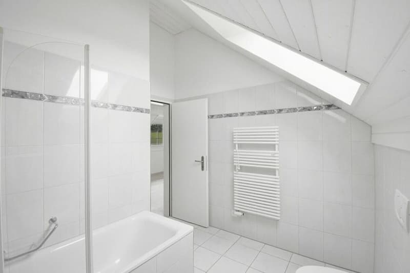 Ruhige 1.5-Zimmerwohnung an idyllischer Lage (3)