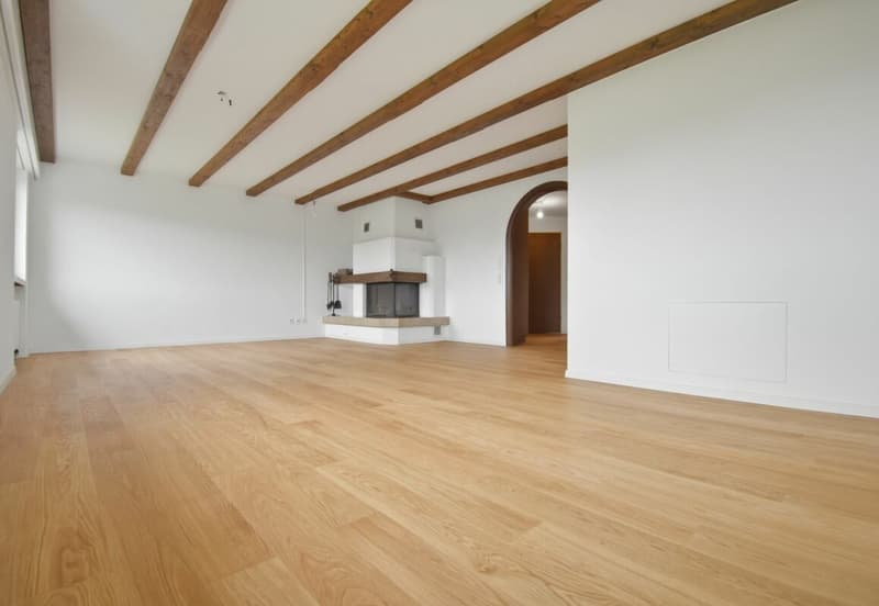 schöne und grosszügige 5 1/2 Zimmer-Maisonette-Wohnung mit Cheminée (1)