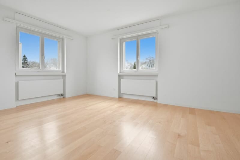 schöne und grosszügige 5 1/2 Zimmer-Maisonette-Wohnung mit Cheminée (3)