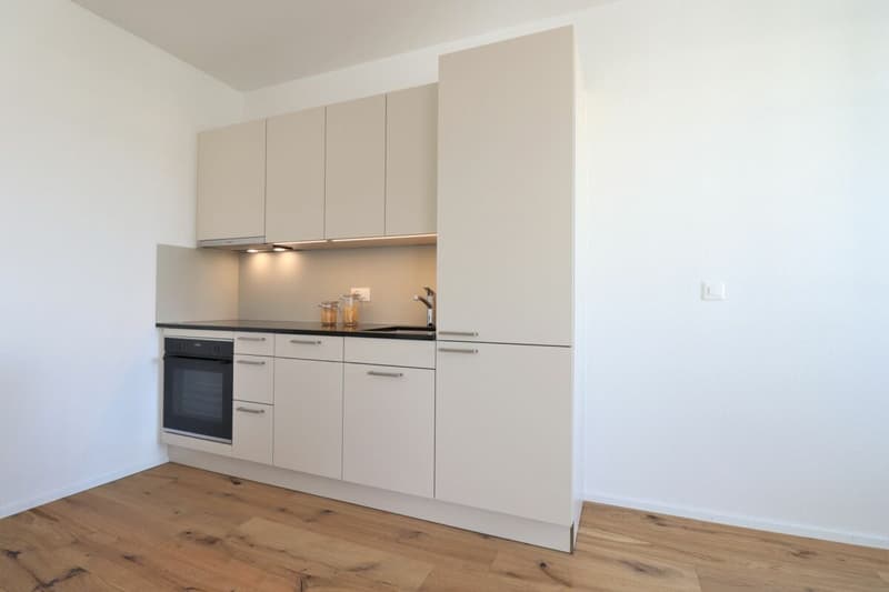 Moderne 2.5 Zimmer-Wohnung in ruhigem Quartier (2)
