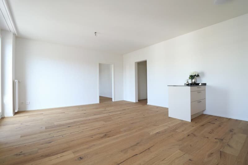 Moderne 2.5 Zimmer-Wohnung in ruhigem Quartier (3)