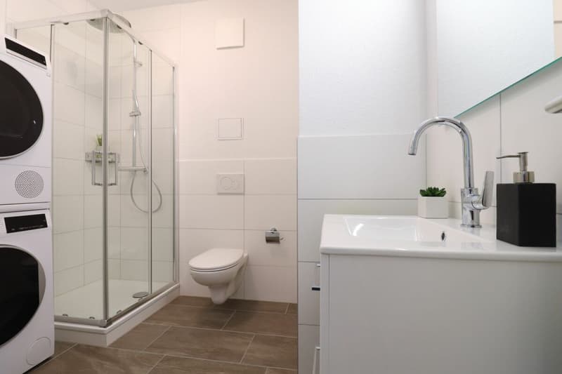 Moderne 2.5 Zimmer-Wohnung in ruhigem Quartier (5)