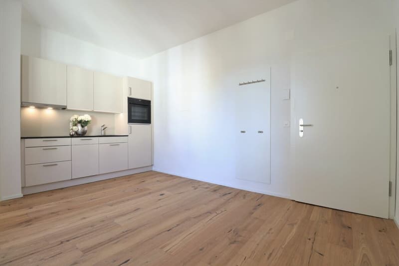 Nachmieter für moderne 1.5 Zimmer-Wohnung gesucht (4)