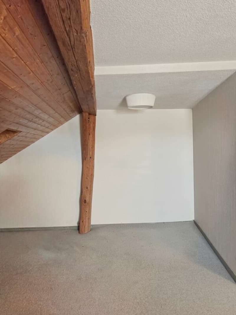 3.5 Zimmer Altstadt-Wohnung mit Charme (5)