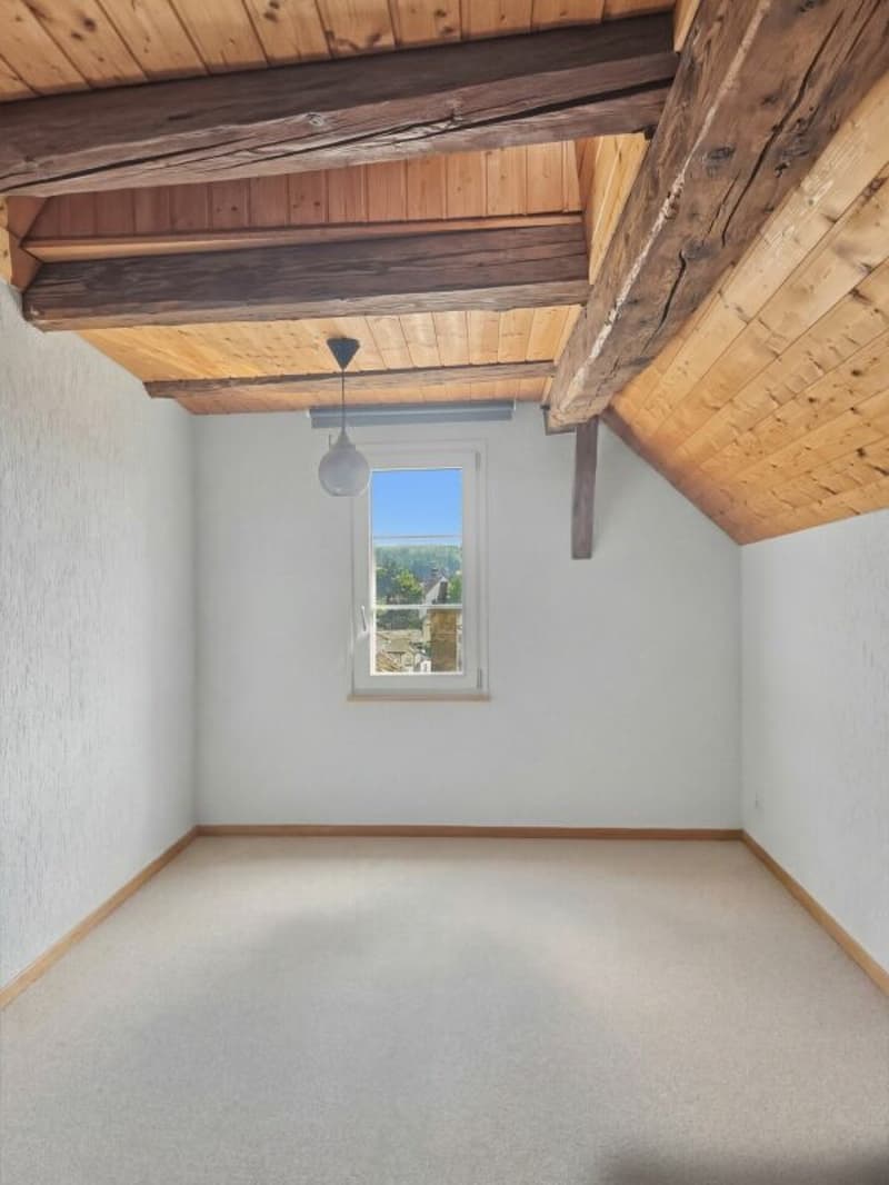3.5 Zimmer Altstadt-Wohnung mit Charme (3)