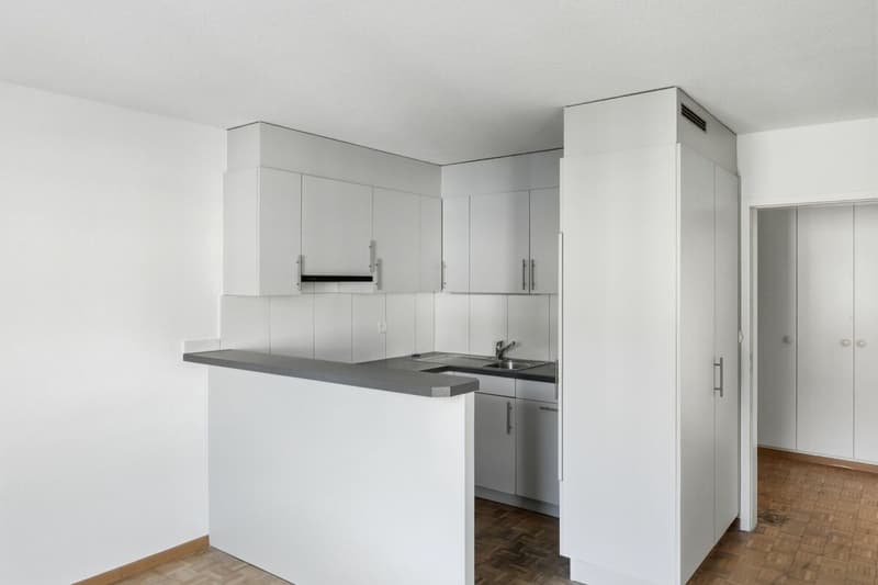 Helle 2.5-Zimmer-Wohnung an zentraler Lage in St. Gallen (2)