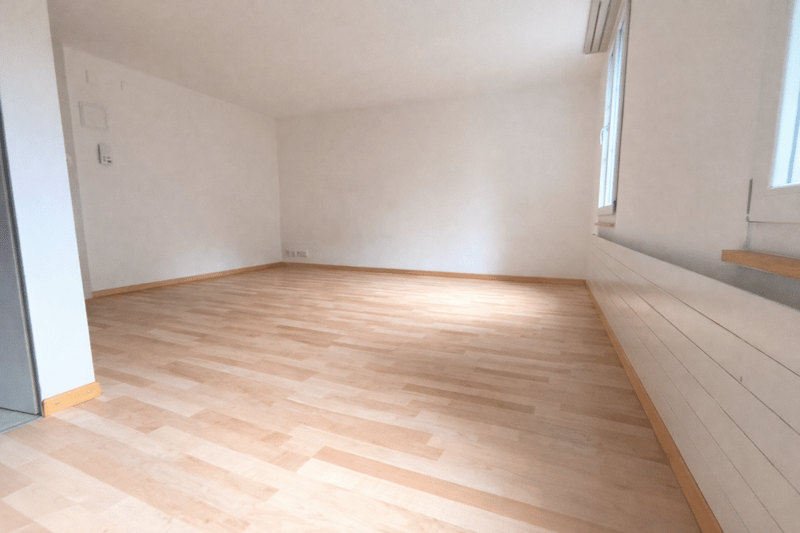 Charmante 1-Zimmer-Wohnung in St. Gallen mit neuer Küche (2)