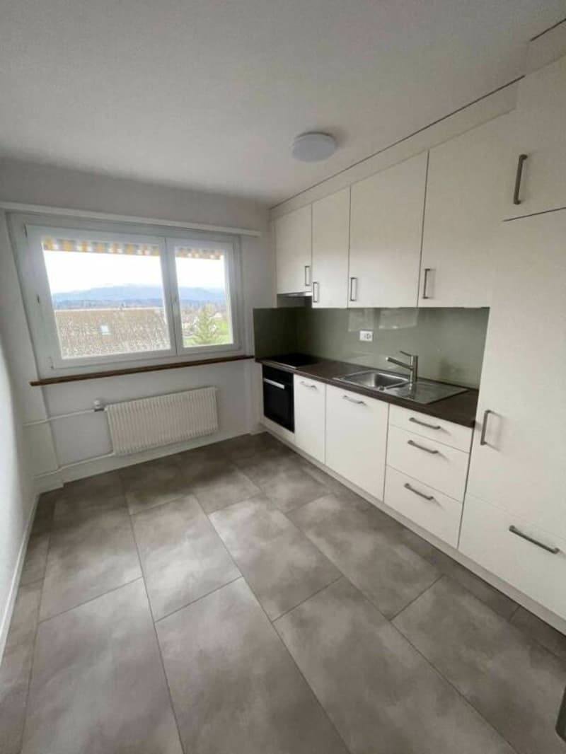 Traumhafte 4-Zimmer-Wohnung in Aarwangen (1)