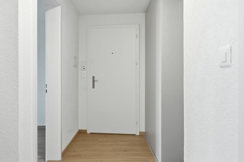 Frisch renovierte 3 1/2 ZWG, 1 Monat GRATIS (7)