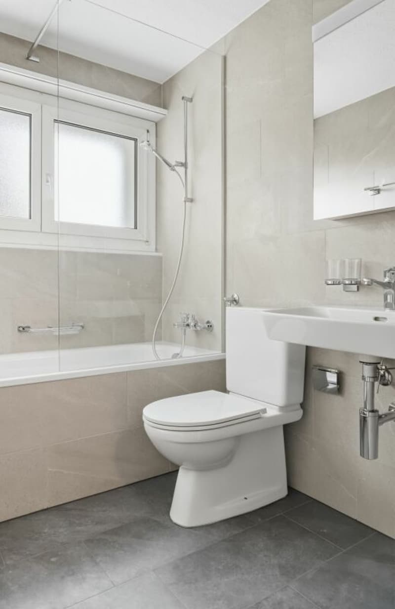 Frisch renovierte 3 1/2 ZWG, 1 Monat GRATIS (3)