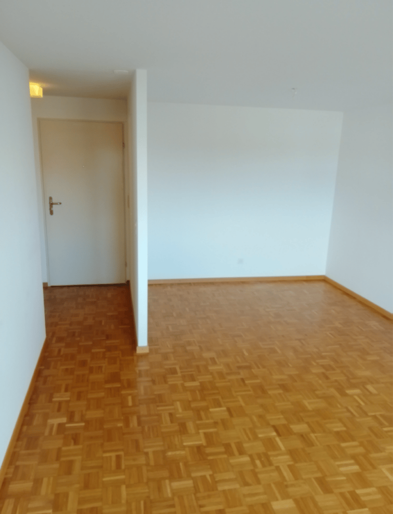 Charmante 1.5-Zimmer-Wohnung in Bronschhofen (4)
