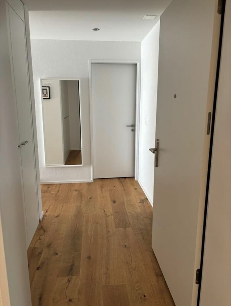 Moderne 2 ½-Zimmer-Wohnung mit grosszügigem Balkon und Abendsonne (3)