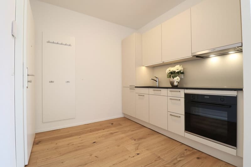 Moderne 2.5 Zimmer-Wohnung in ruhigem Quartier (1)