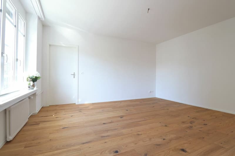 Moderne 2.5 Zimmer-Wohnung in ruhigem Quartier (3)
