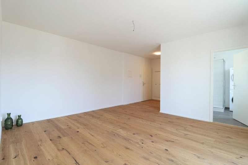 Moderne 2.5 Zimmer-Wohnung in ruhigem Quartier (2)