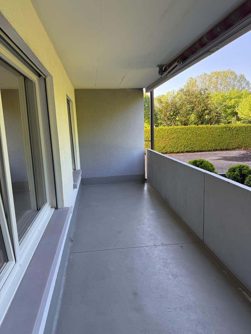 3-Zimmer-Wohnung im Hochparterre (10)
