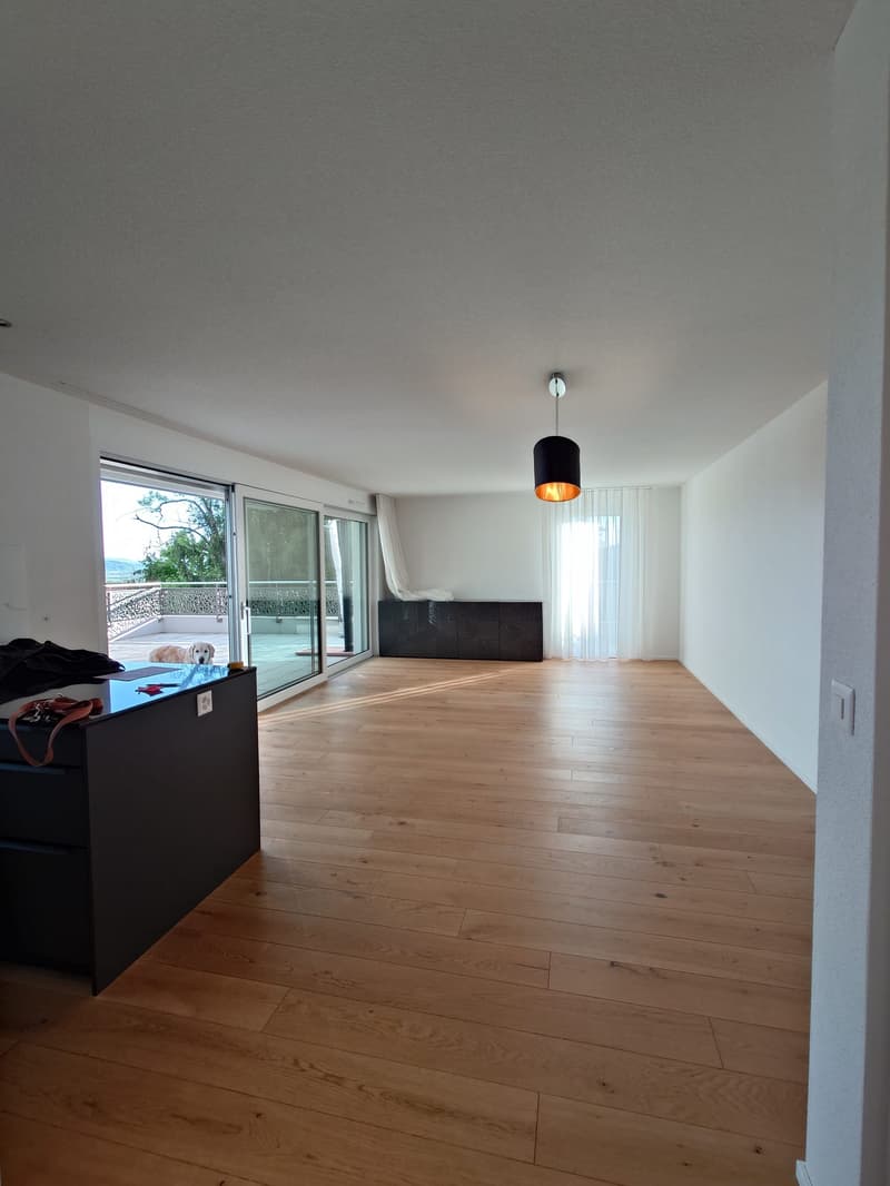 Attikawohnung mit Weitsicht (3)