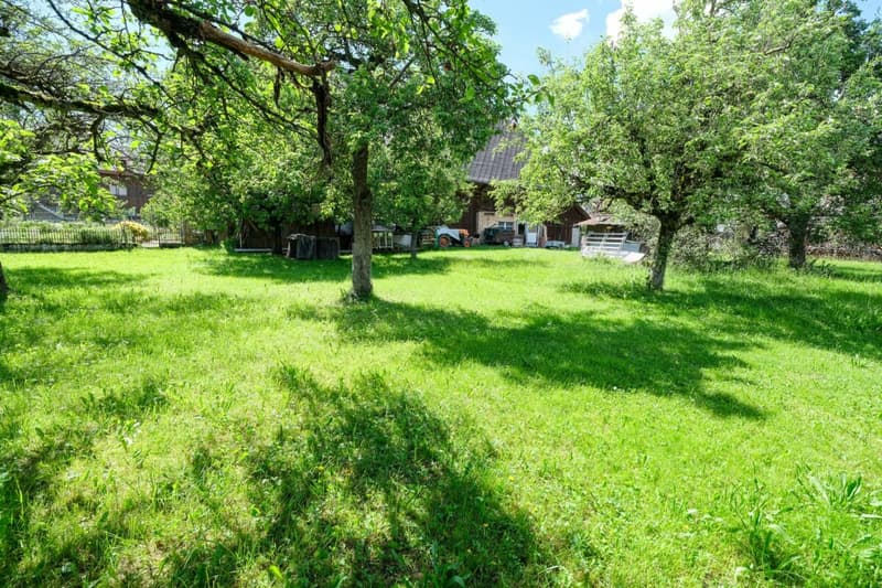 Bauernhaus mit 2 Wohnungen auf 3'935 m2 (19)