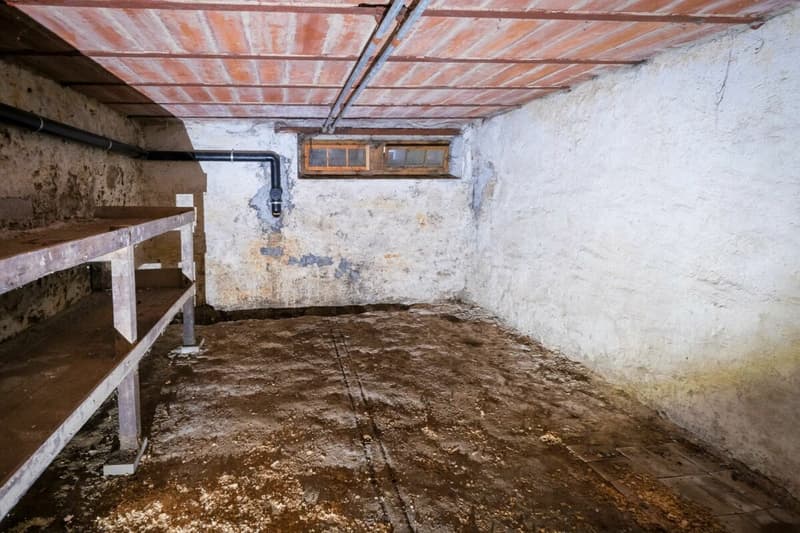Ferme avec 2 appartements sur 3'935 m2 (11)