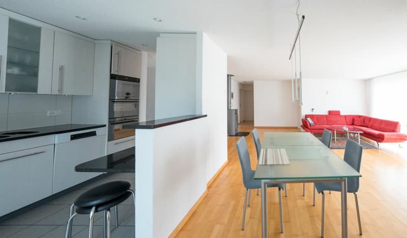 Grosszügige 4.5-Zimmerwohnung im Parterre (8)