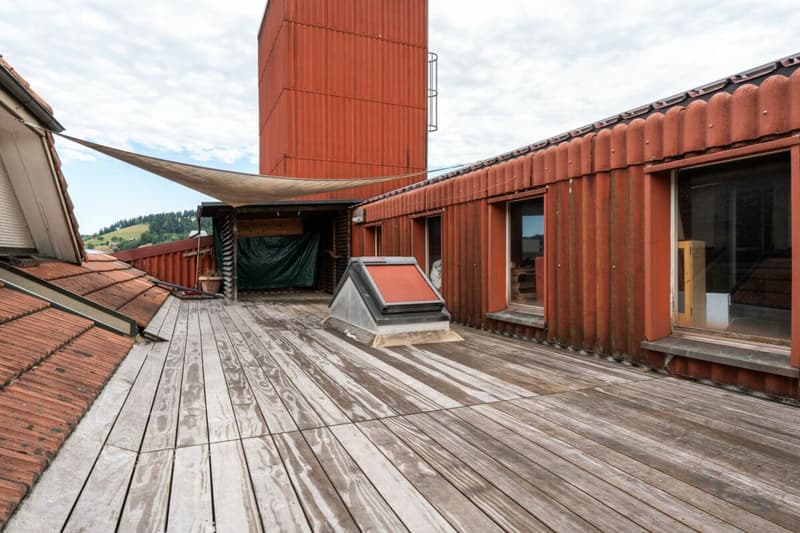 Grosszügige 3.5-Zimmer-Dachwohnung (20)