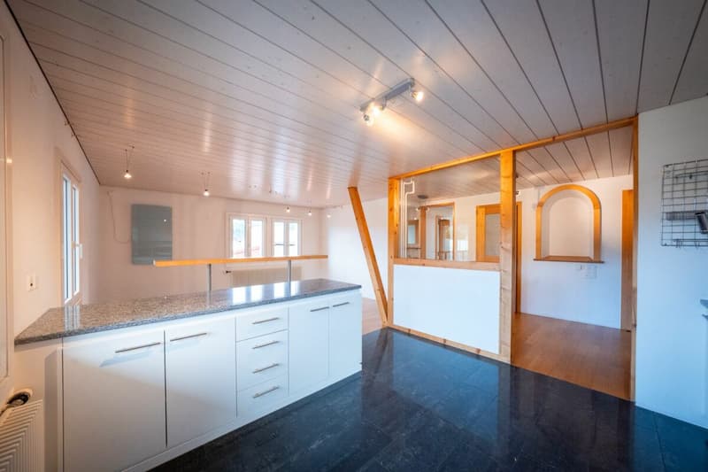 Grosszügige 3.5-Zimmer-Dachwohnung (1)