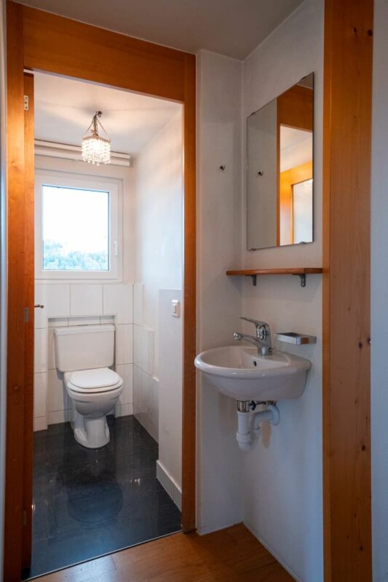 Grosszügige 3.5-Zimmer-Dachwohnung (6)