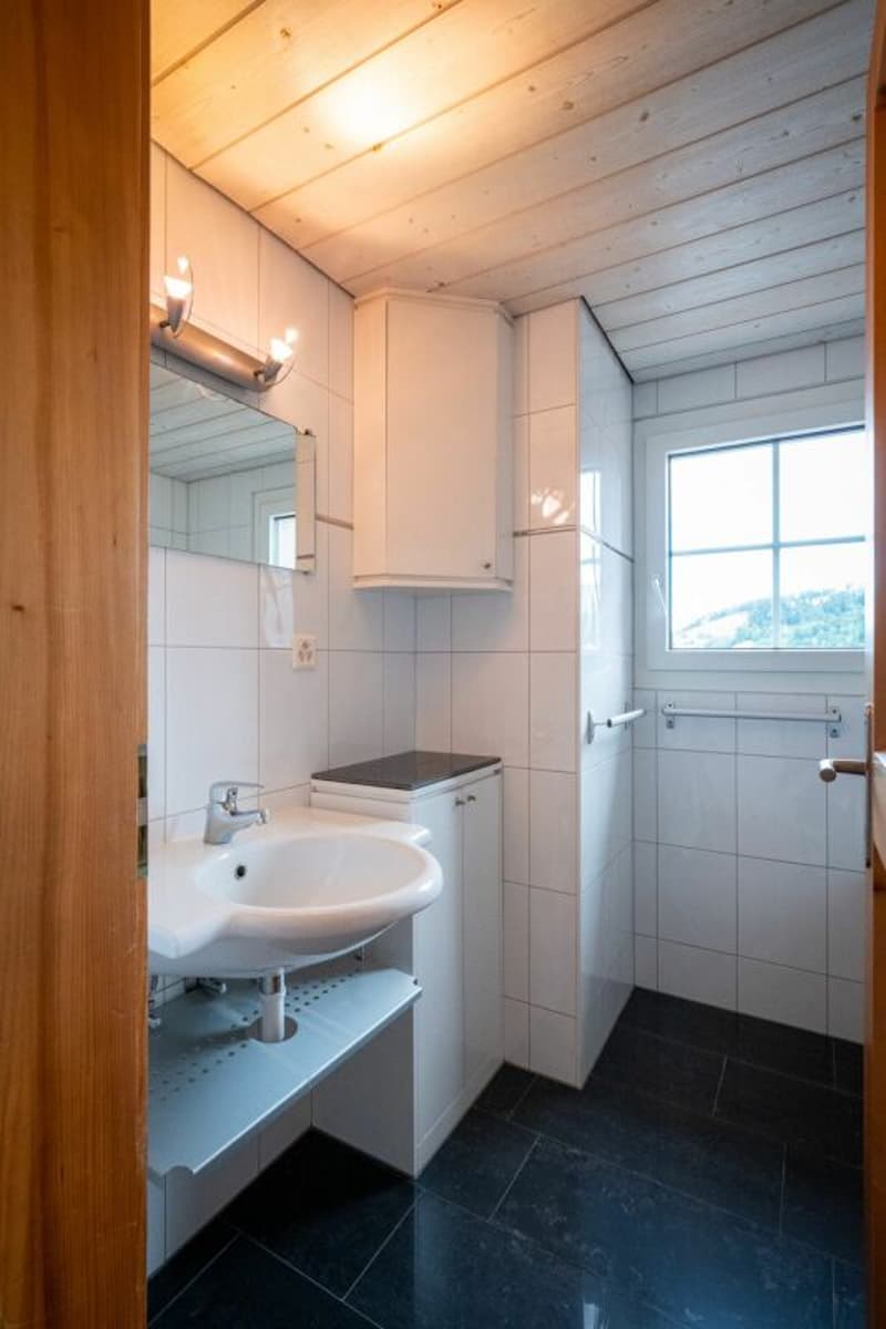 Grosszügige 3.5-Zimmer-Dachwohnung (8)