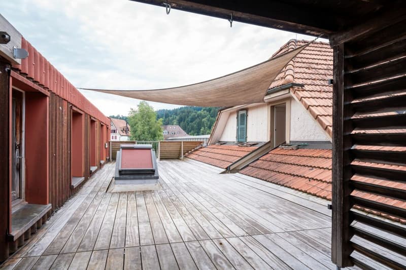 Grosszügige 3.5-Zimmer-Dachwohnung (19)